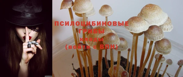 молекула духа Баксан