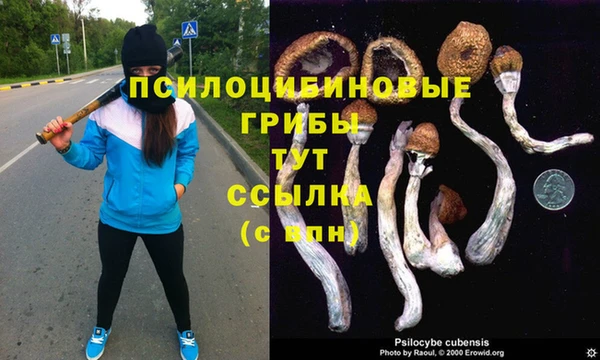 не бодяженный Балахна